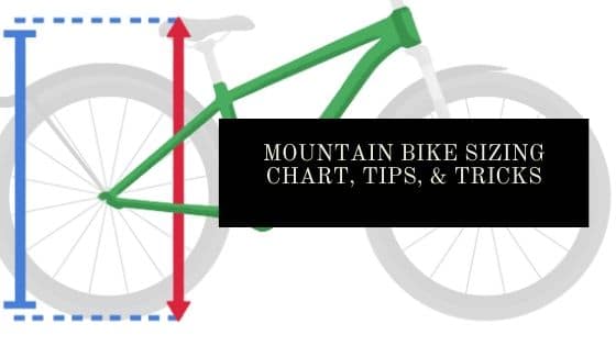 women's mountain bike sizes height