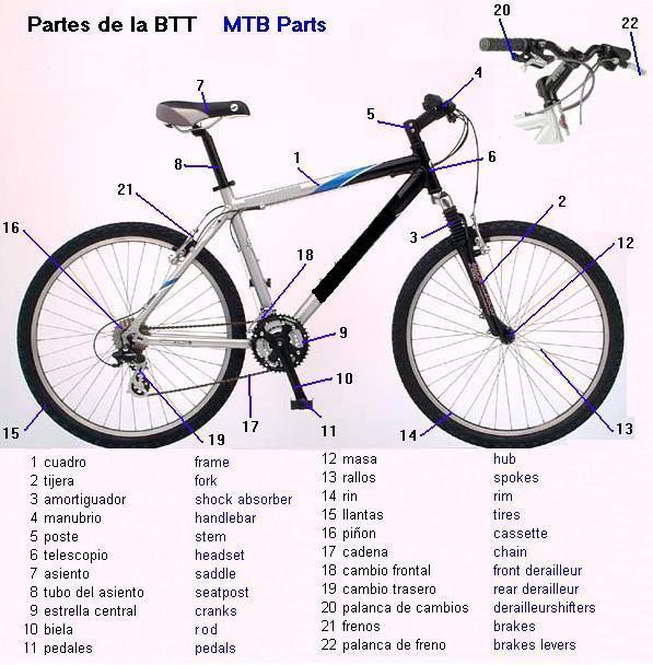 standard size mountain bike